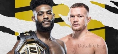 Aljamain Sterling vs Petr Yan